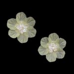 Imagen anterior del producto