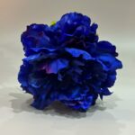 Imagen siguiente del producto