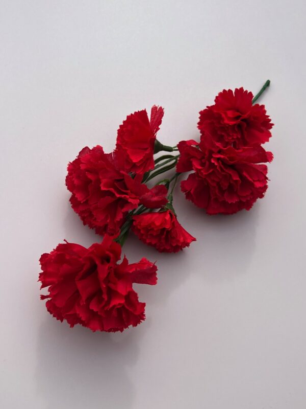 Media corona clavel rojo