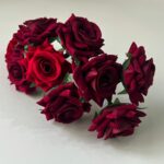 Imagen anterior del producto